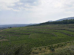 Etna Etna