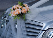 Car rental for weddings